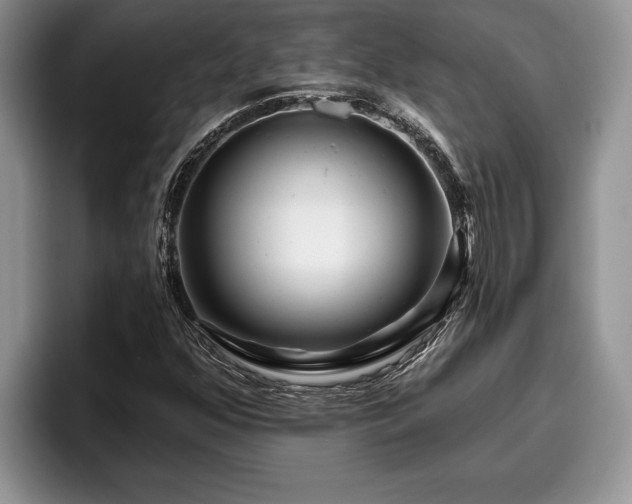 X0000095881352200801181157