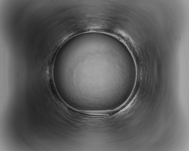 X0000095881353200801181157