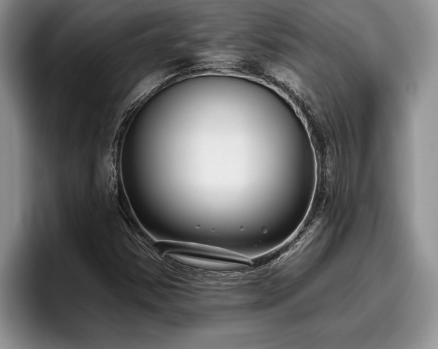 X0000095881354200801181157