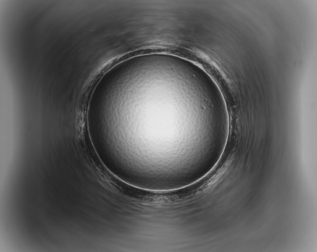X0000095881355200801181157