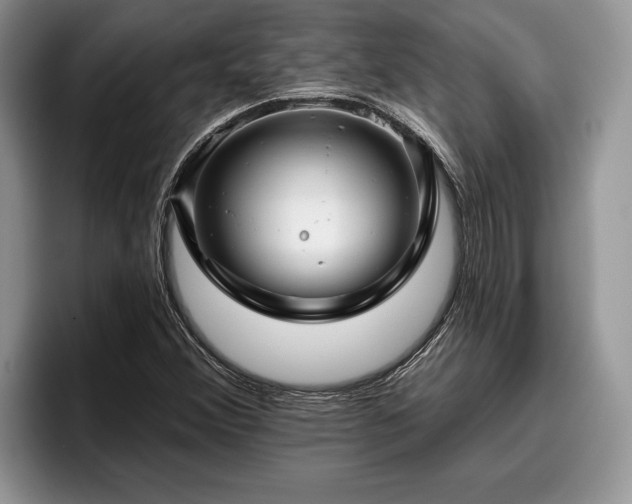 X0000095881356200801181157