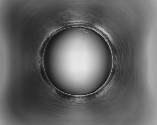 X0000095881357200801181157