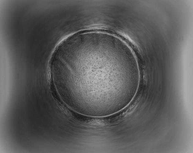 X0000095881358200801181157