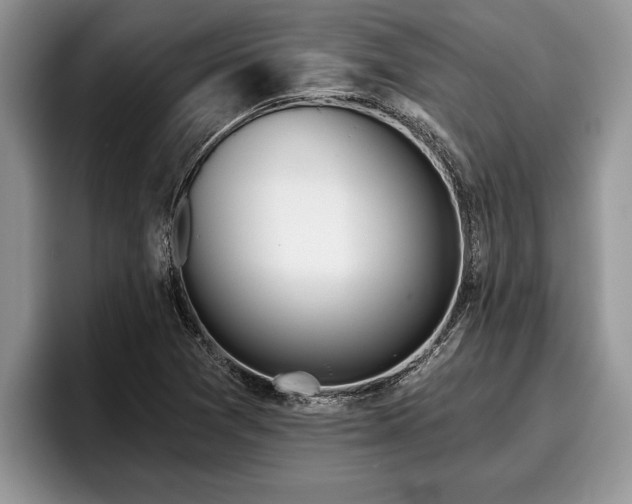 X0000095881361200801181157