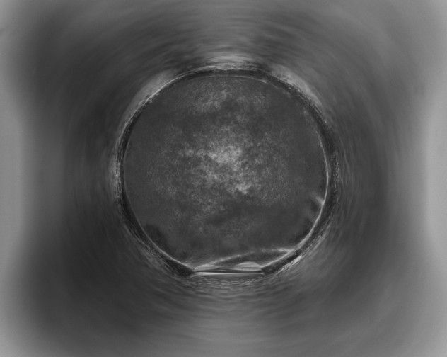X0000095881362200801181157
