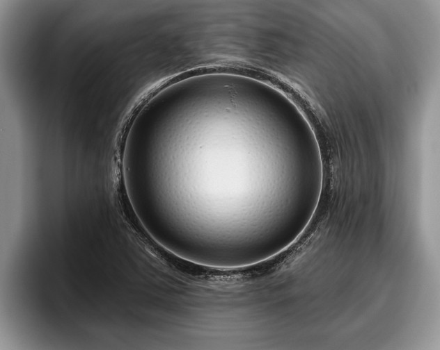 X0000095881363200801181157