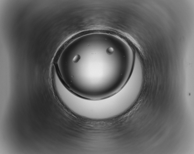 X0000095881364200801181157