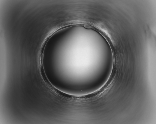 X0000095881365200801181157