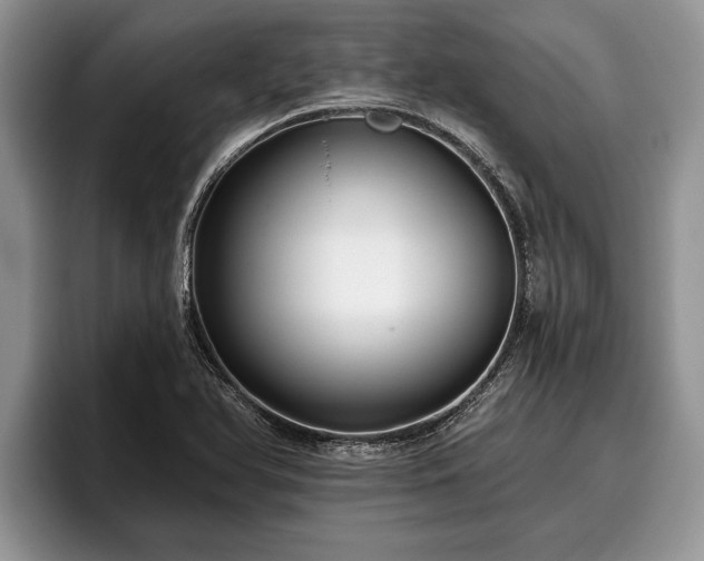 X0000095881366200801181157