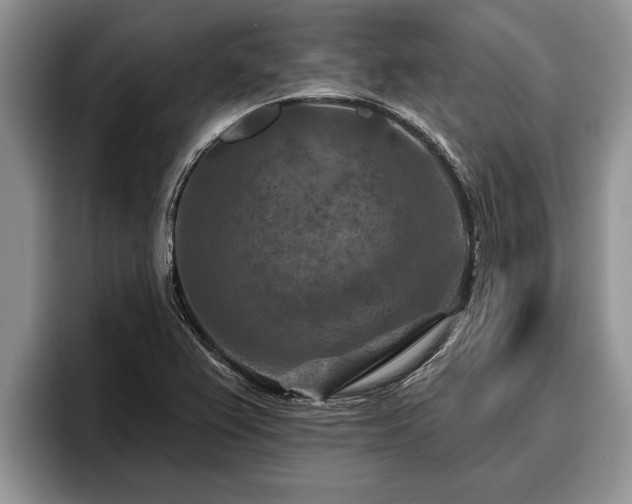 X0000095881367200801181157