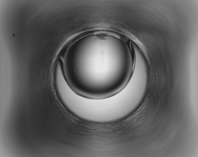 X0000095881368200801181157
