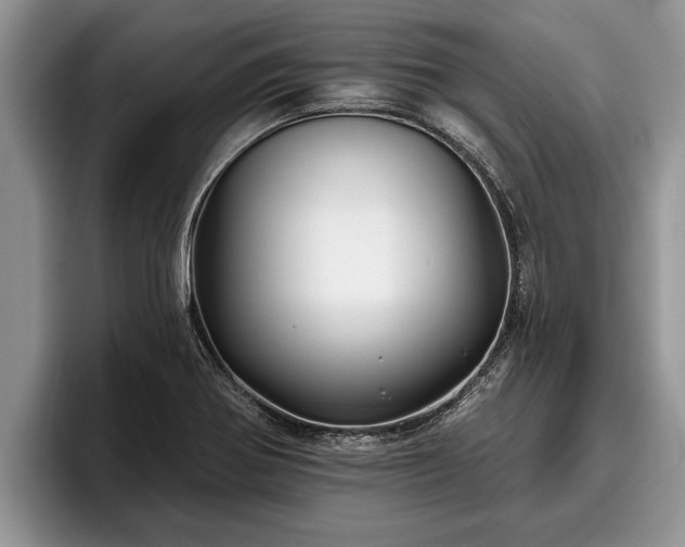 X0000095881370200801181157