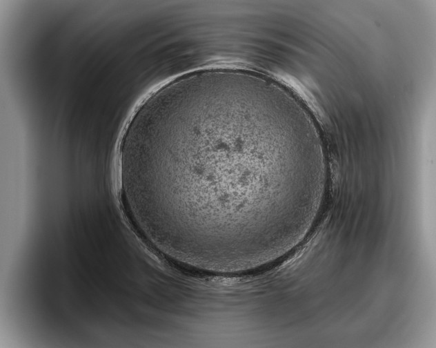 X0000095881371200801181157