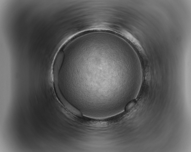 X0000095881372200801181157