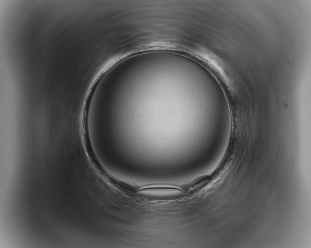 X0000095881373200801181157