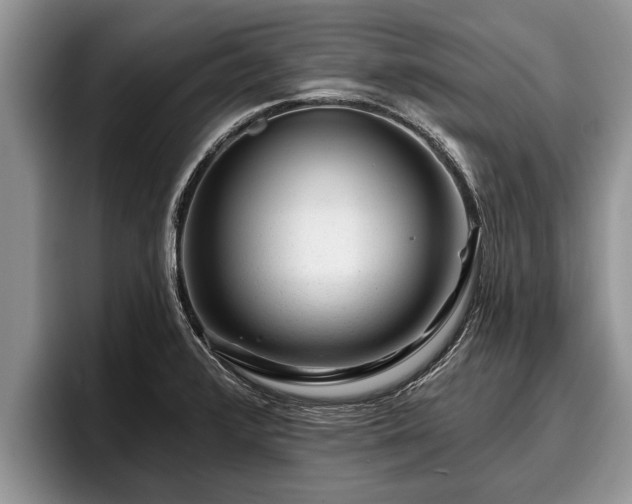 X0000095881376200801181157