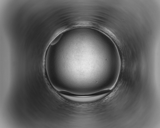 X0000095881378200801181157