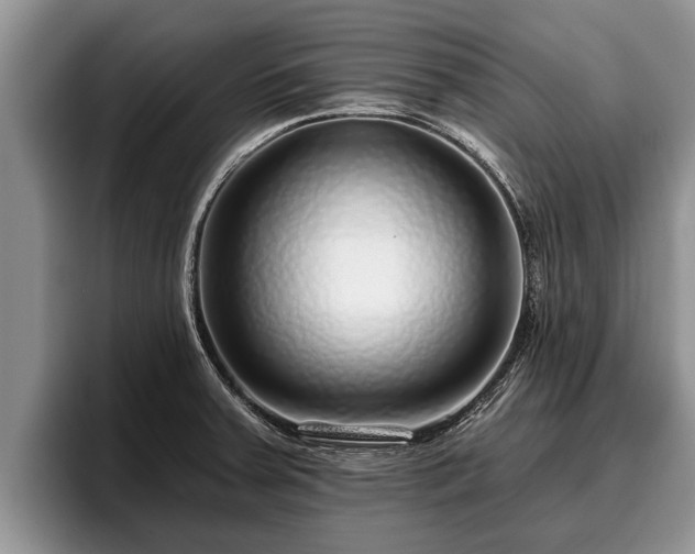 X0000095881379200801181157