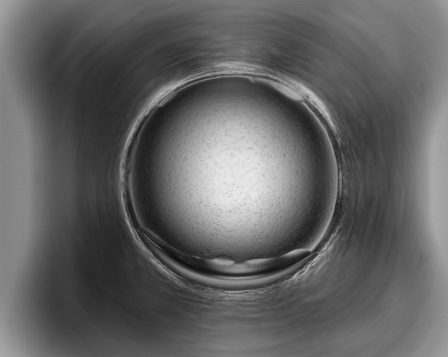 X0000095881381200801181157
