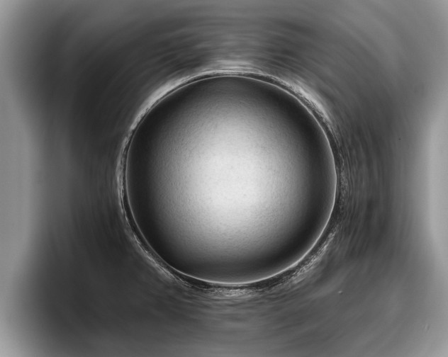 X0000095881382200801181157