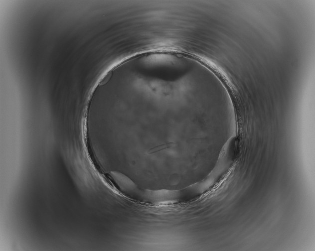 X0000095881383200801181156