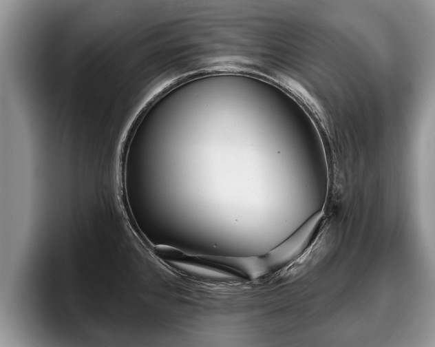 X0000095881384200801181156