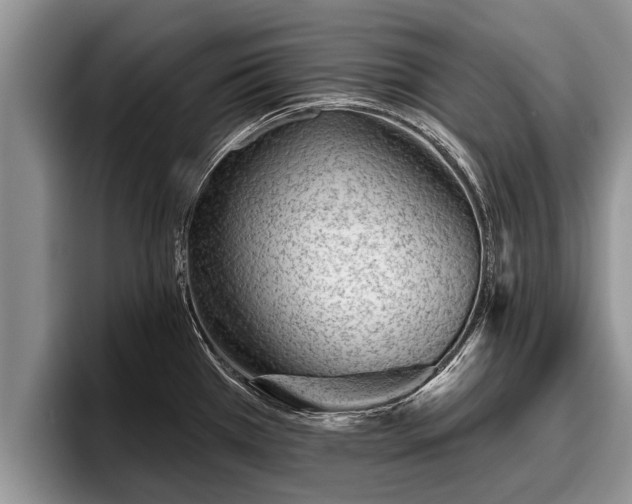 X0000095881385200801181156