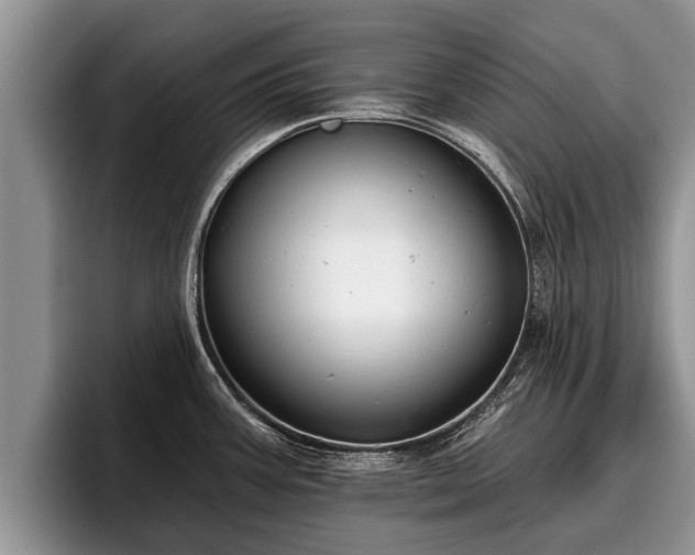 X0000095881387200801181156