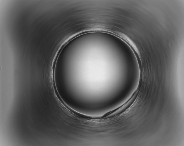 X0000095881388200801181156