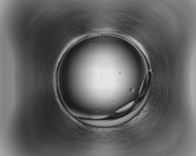 X0000095881389200801181156