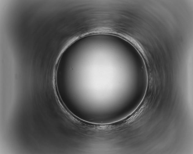 X0000095881390200801181156