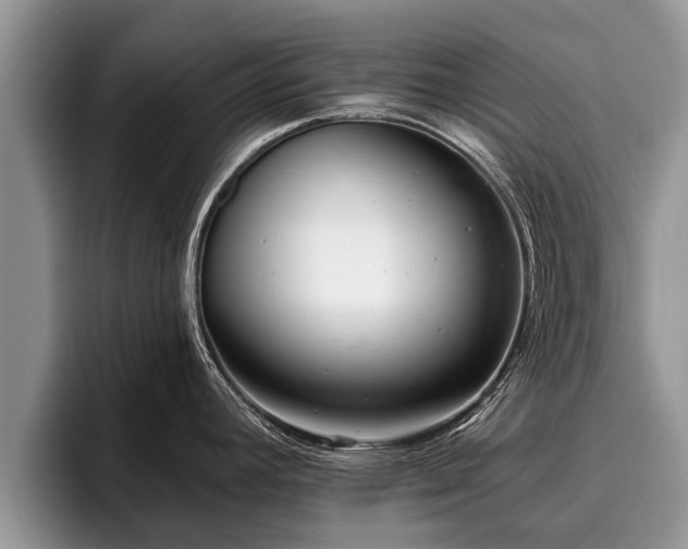 X0000095881392200801181156