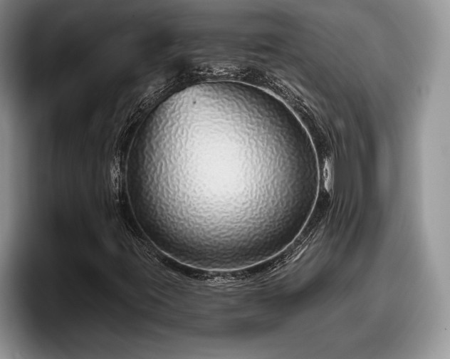 X0000095881395200801181156