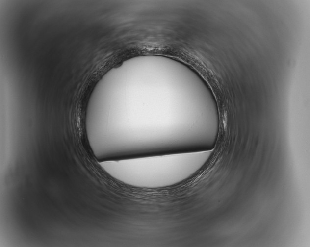 X0000095881396200801181156