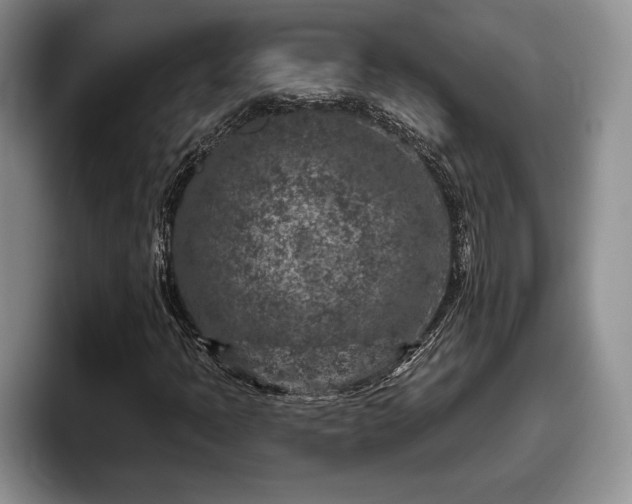 X0000095881397200801181156