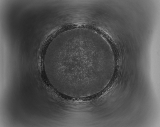 X0000095881398200801181156