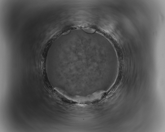 X0000095881399200801181156