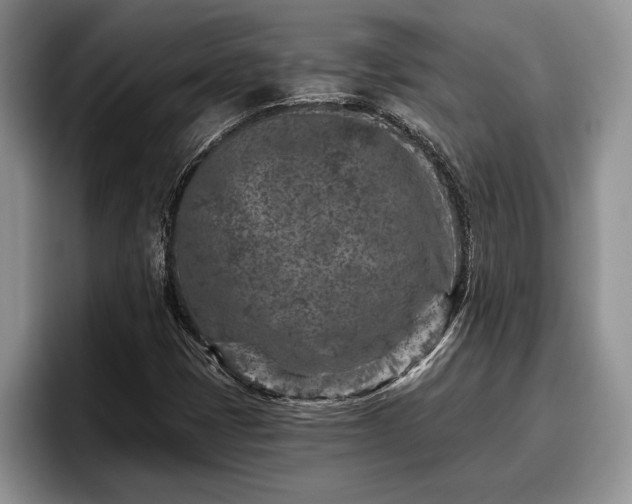 X0000095881401200801181156