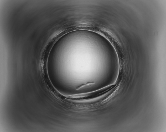X0000095881402200801181156