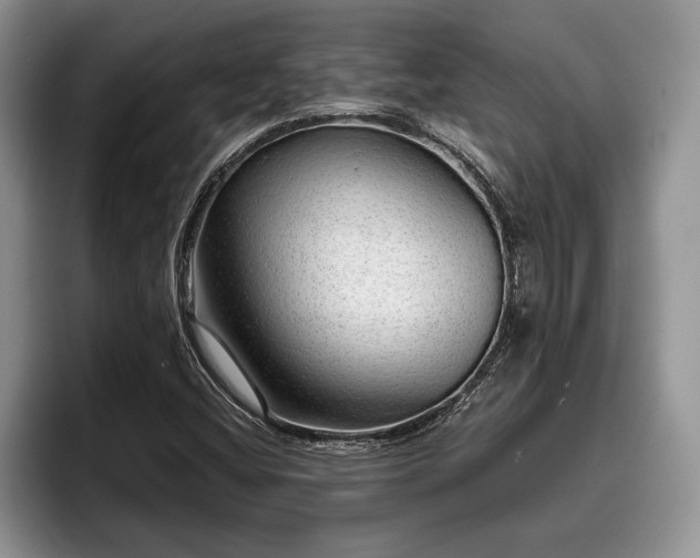 X0000095881404200801181156