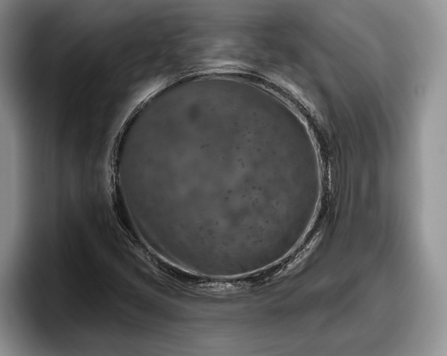 X0000095881405200801181156