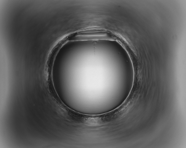 X0000095881406200801181156