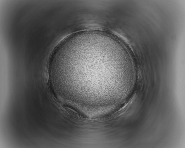 X0000095881407200801181156