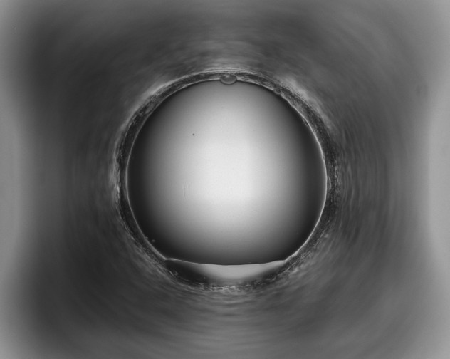 X0000095881408200801181156