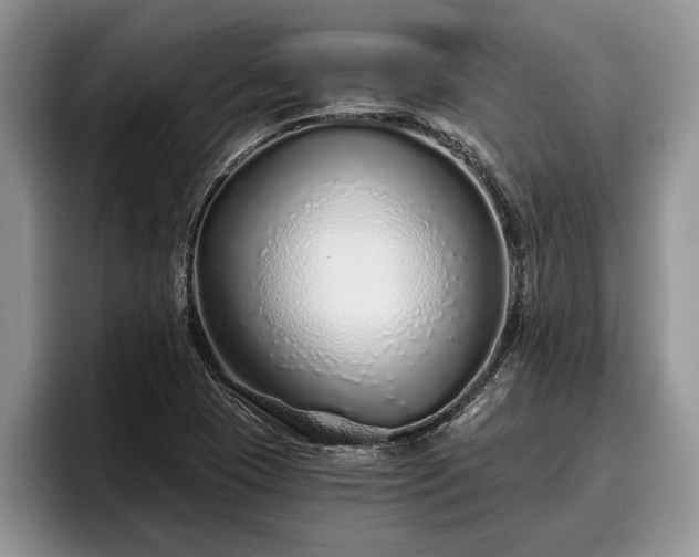 X0000095881409200801181156