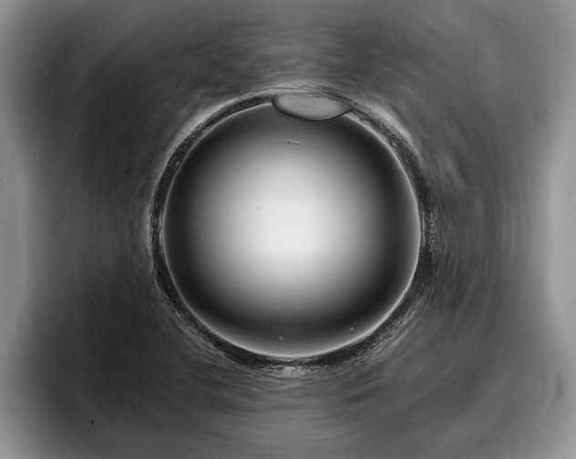 X0000095881412200801181156