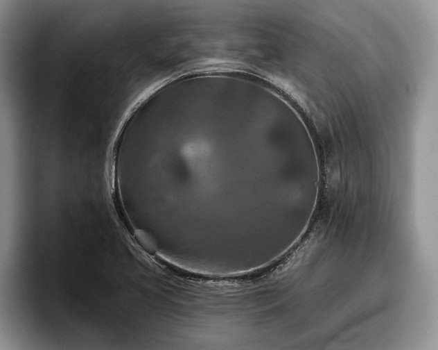 X0000095881413200801181156