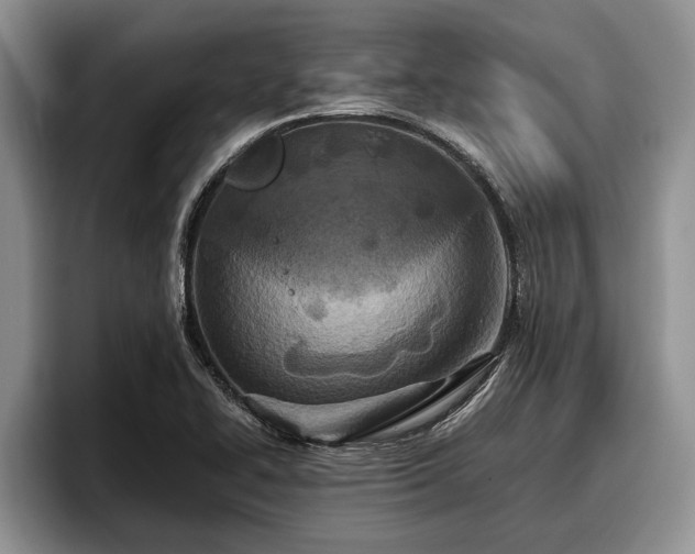 X0000095881414200801181156