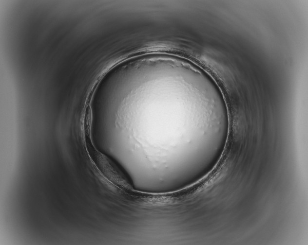 X0000095881417200801181156