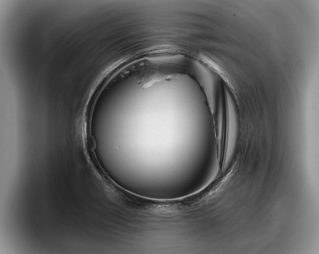 X0000095881418200801181156